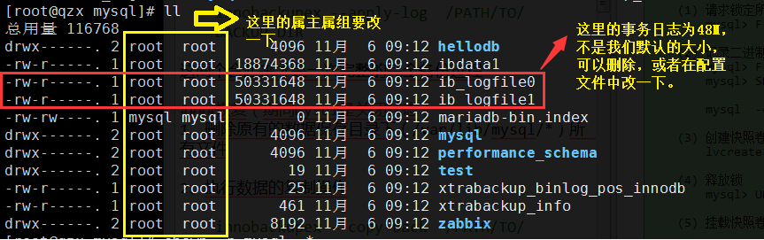 數據庫的備份和恢復