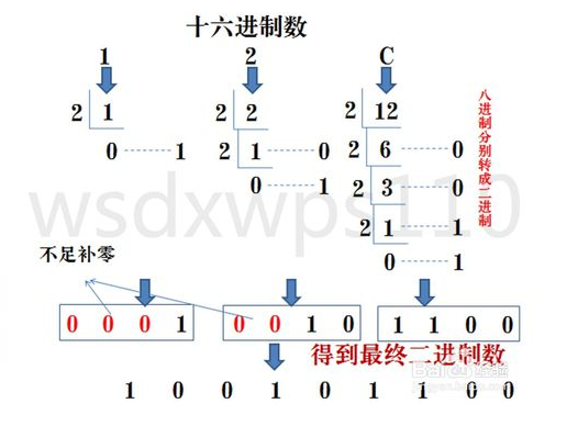 二進制、八進制、十進制、十六進制之間的轉換