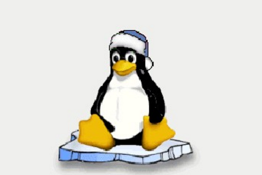 Linux發展與應用