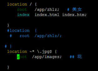 nginx 配置參數說明和實驗