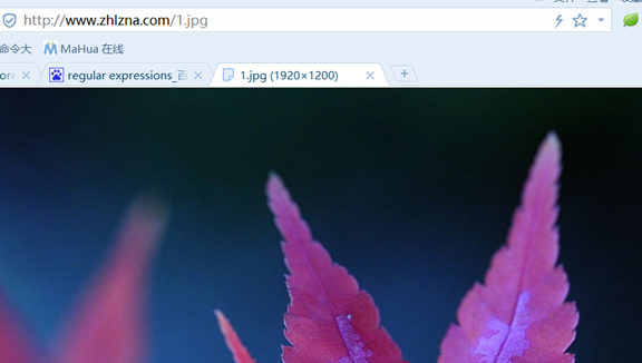 nginx 配置參數說明和實驗