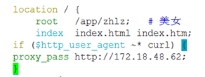 nginx 配置參數說明和實驗