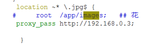 nginx 配置參數說明和實驗