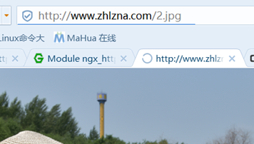 nginx 配置參數說明和實驗