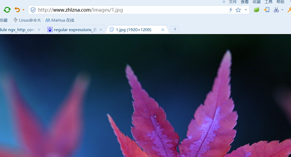 nginx 配置參數說明和實驗