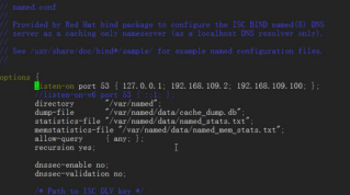 linux基礎服務之DNS