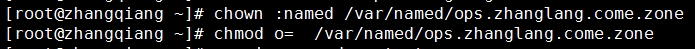 linux基礎服務之DNS