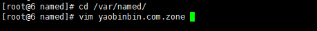 dns 服務