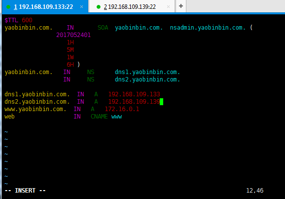 dns 服務