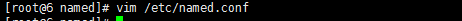 dns 服務
