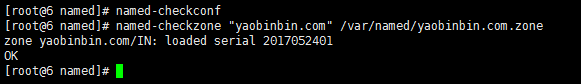 dns 服務