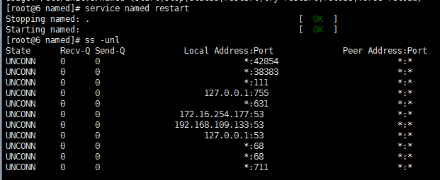 dns 服務