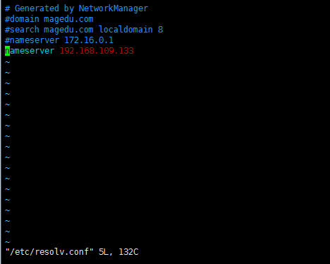 dns 服務