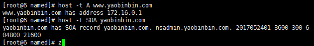 dns 服務