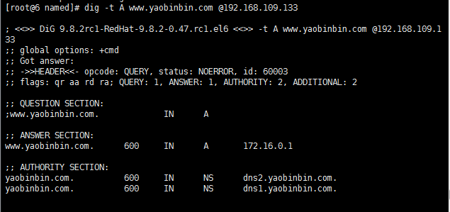 dns 服務