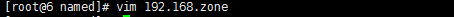 dns 服務