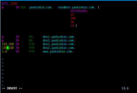 dns 服務