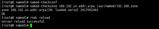 dns 服務