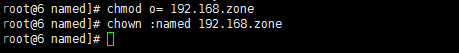 dns 服務