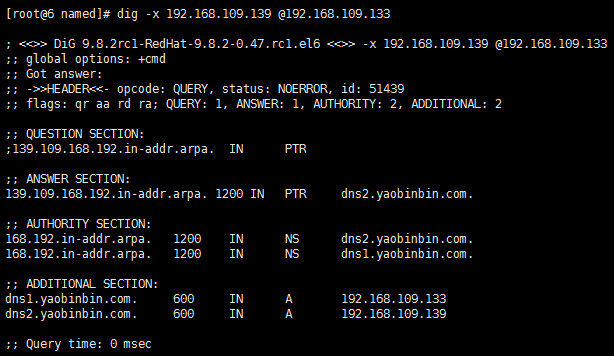 dns 服務