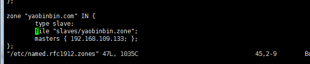 dns 服務