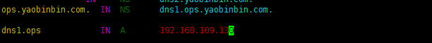 dns 服務