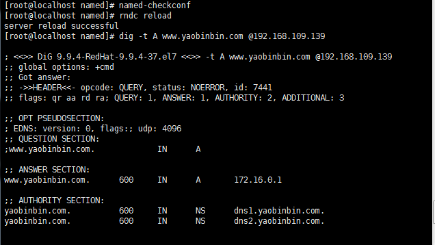 dns 服務