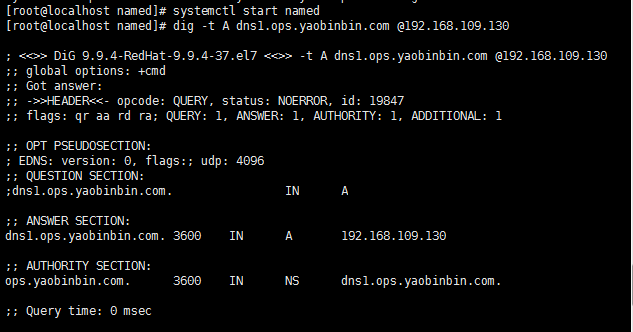 dns 服務