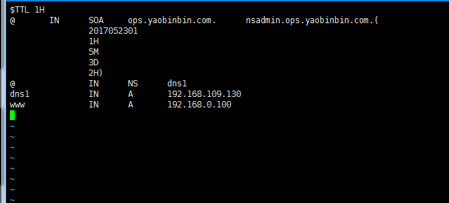 dns 服務
