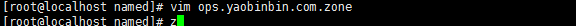 dns 服務