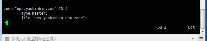 dns 服務