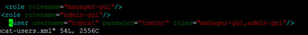 5.20 TOMCAT