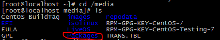 Linux 系統中screen命令不能使用的解決辦法，screen包的正確安裝