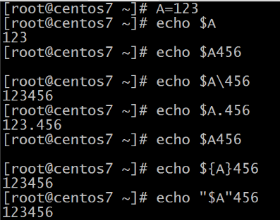 時間、screen、echo等——Linux基本命令（5）