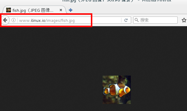 Nginx及其相關配置詳解（二）