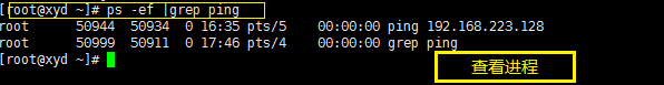 Linux下的一些命令的認識及用法
