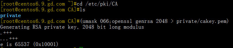 Linux 下openssl搭建一個CA