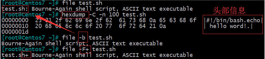 Linux 基礎（4）