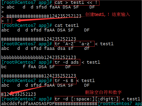 Linux 基礎（4）