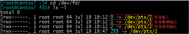 Linux 基礎（4）