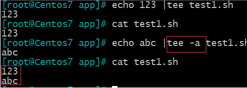 Linux 基礎（4）