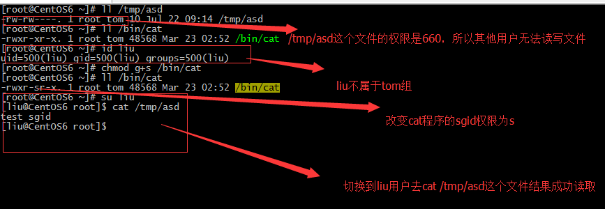 Linux-文件基本權限及特殊權限詳解