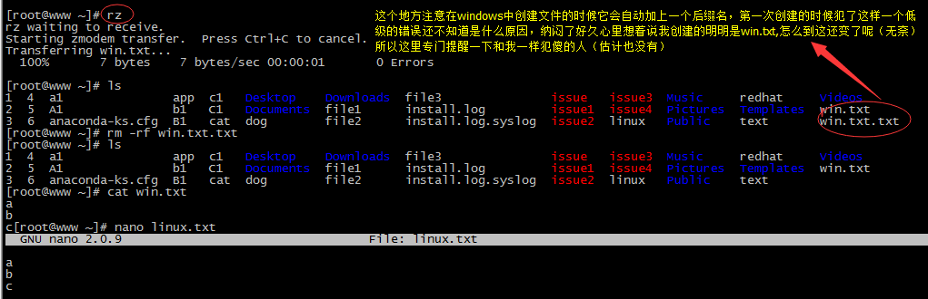 linux中的管道符
