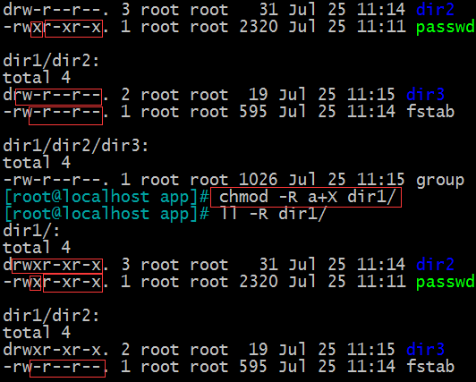 Linux 基礎（6）—— 權限