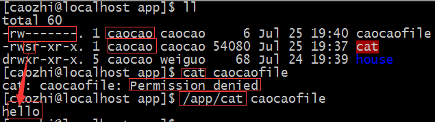 Linux 基礎（6）—— 權限
