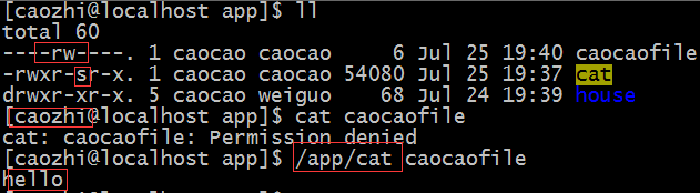 Linux 基礎（6）—— 權限