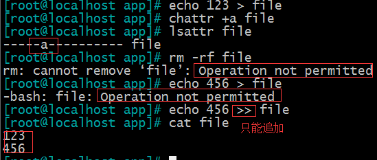 Linux 基礎（6）—— 權限