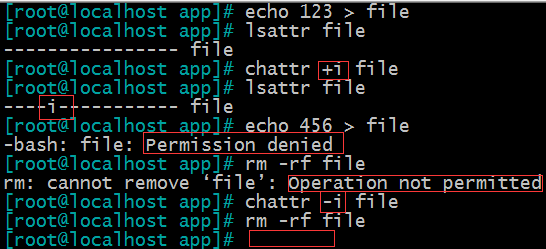 Linux 基礎（6）—— 權限