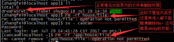 文件權限