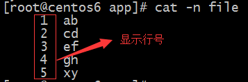linux之文本處理工具